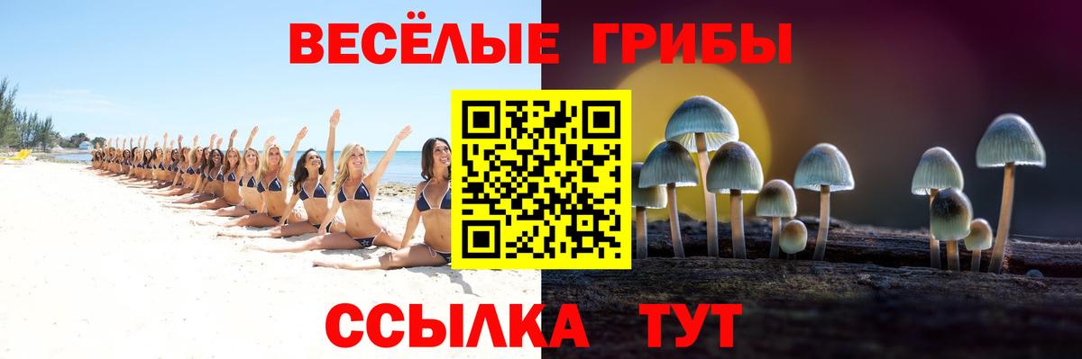Псилоцибиновые грибы MAGIC MUSHROOMS  Вход с VPN  Слободской 
